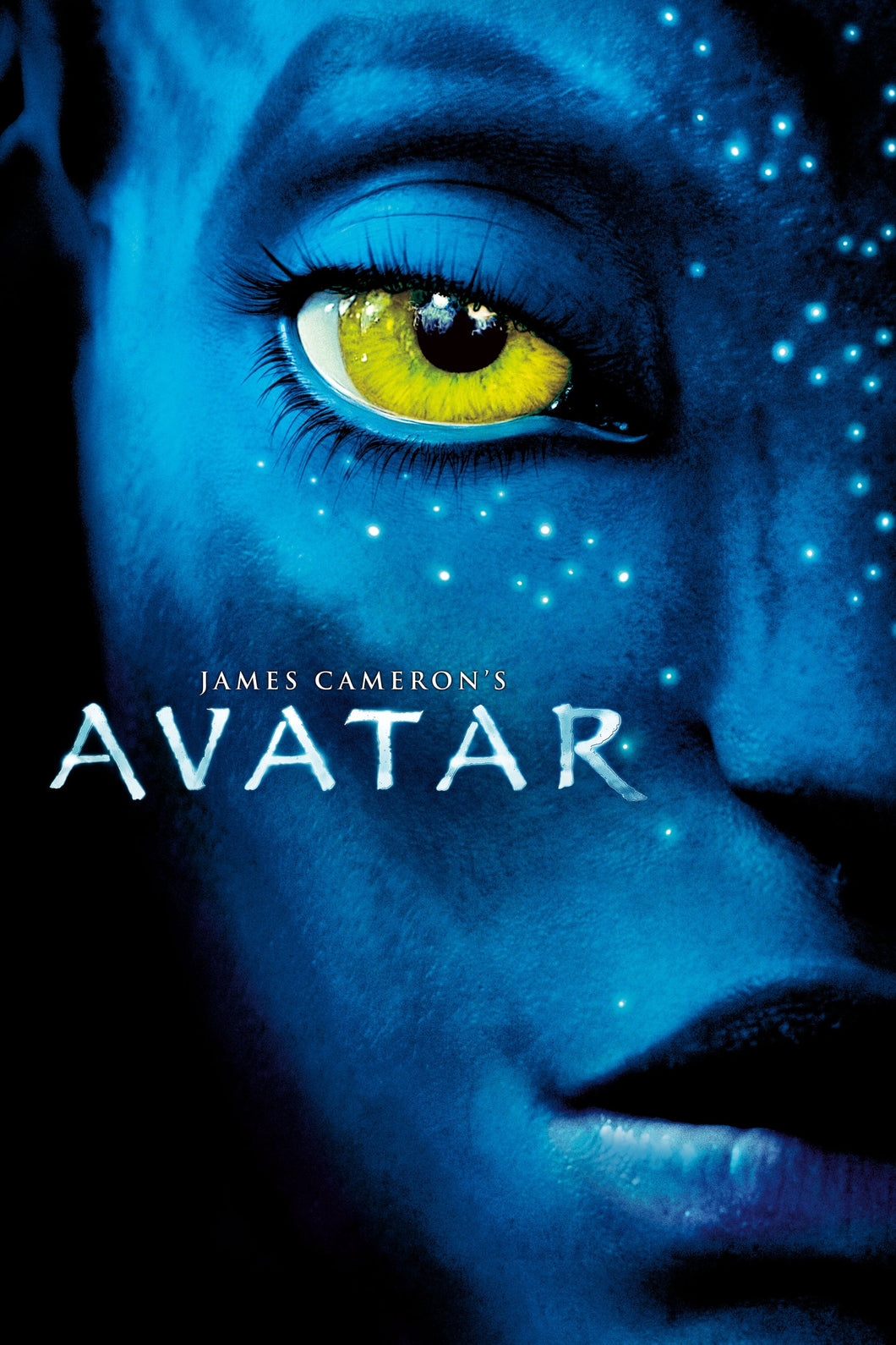 Avatar (2009) v1 Movie Poster High Quality Glossy Paper A1 A2 A3 A4 A3 Framed or Unframed!!!