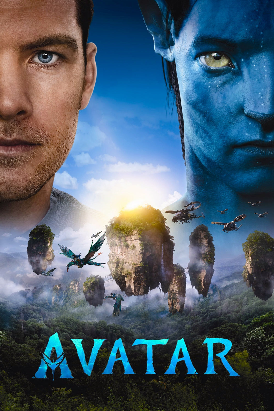 Avatar (2009) v3 Movie Poster High Quality Glossy Paper A1 A2 A3 A4 A3 Framed or Unframed!!!