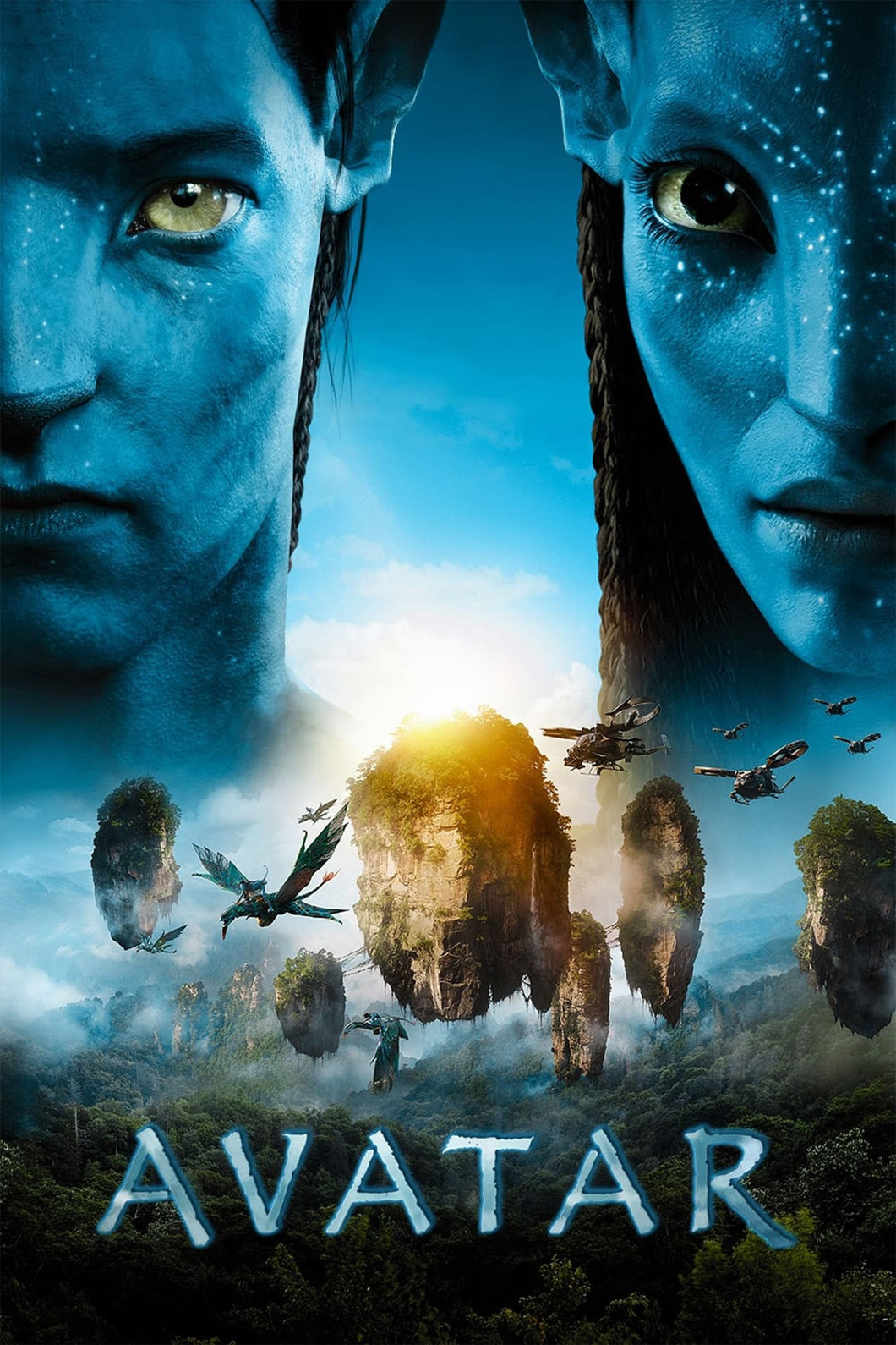 Avatar (2009) v6 Movie Poster High Quality Glossy Paper A1 A2 A3 A4 A3 Framed or Unframed!!!