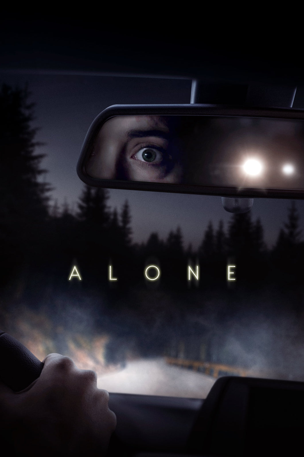 Alone (2020) Movie Poster  High Quality Glossy Paper A1 A2 A3 A4 A3 Framed or Unframed!!!