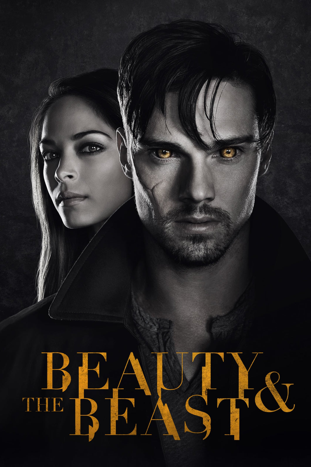 Beauty and the Beast (2012) TV Series High Quality Glossy Paper A1 A2 A3 A4 A3 Framed or Unframed!!!