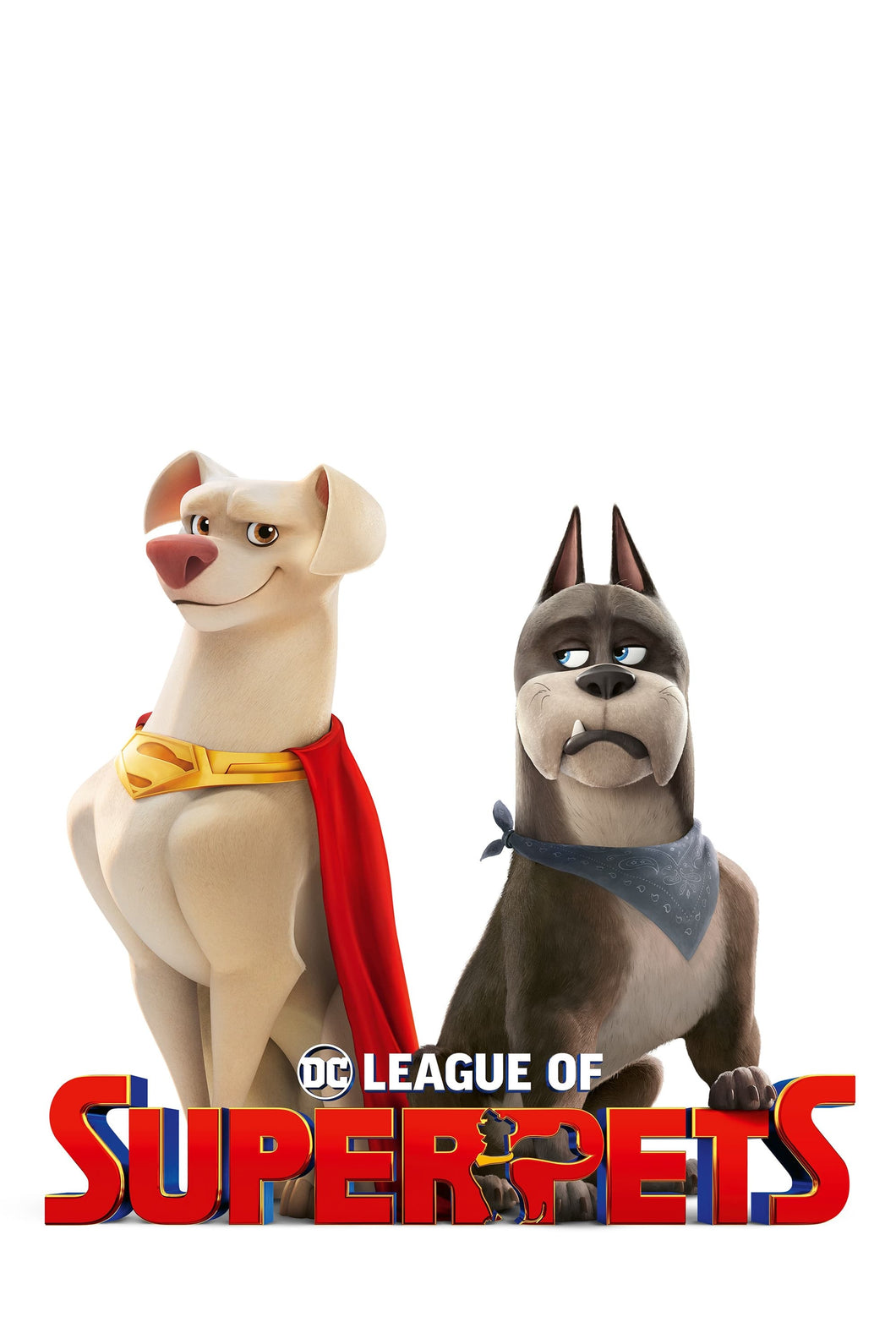 DC League of Super-Pets (2022) V3 Movie Poster High Quality Glossy Paper A1 A2 A3 A4 A3 Framed or Unframed!!!