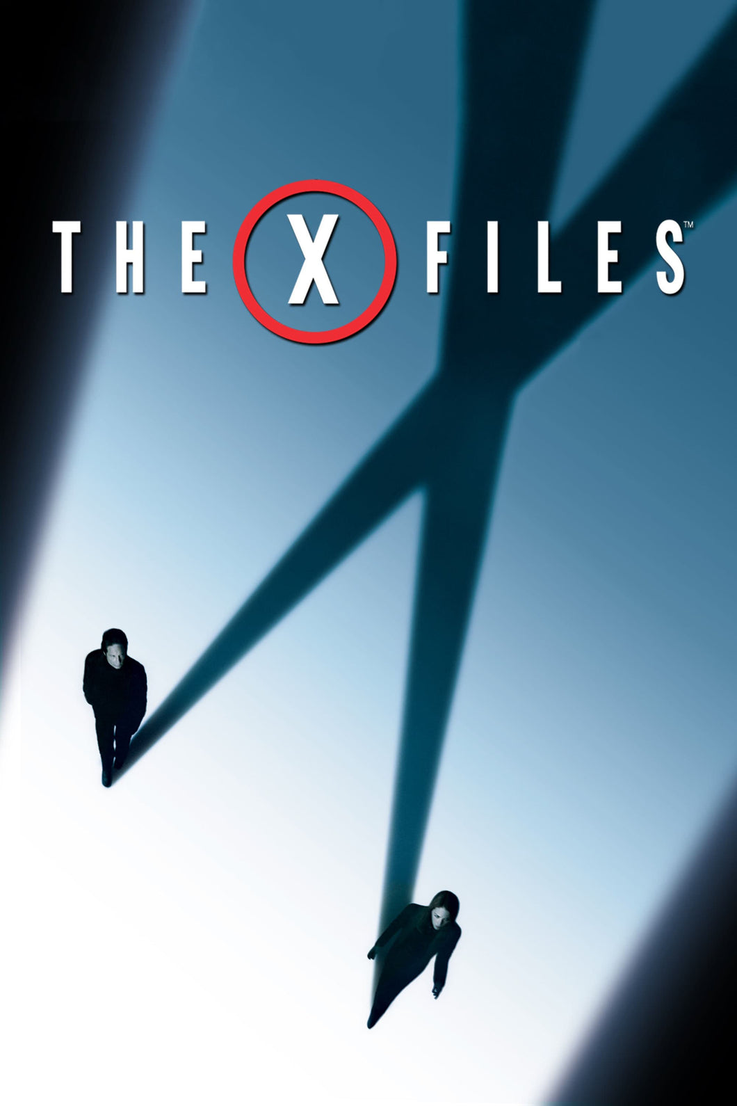 The X Files I Want to Believe (2008) Movie Poster  High Quality Glossy Paper A1 A2 A3 A4 A3 Framed or Unframed!!!